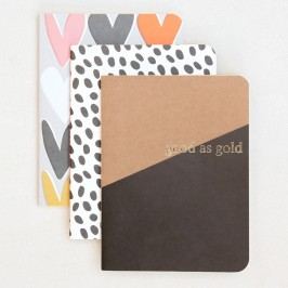 Sada 3 zápisníků Caroline Gardner Kraft Notebooks