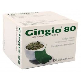 GINGIO 80 80MG potahované tablety 120
