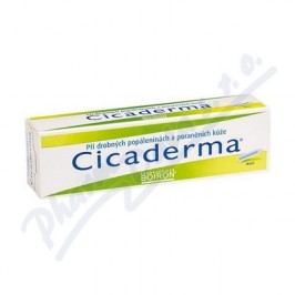 CICADERMA mast 30G