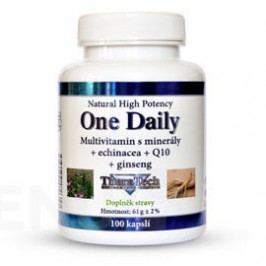 TheraTech 04 One Daily vit.+min.+echi.+Q10 cps.100