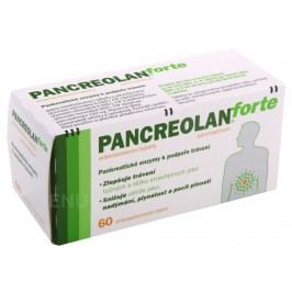 PANCREOLAN FORTE 6000U enterosolventní tableta 60