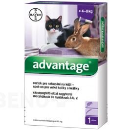 Advantage 80mg pro v.kočky+králíky spot-on 4x0.8ml